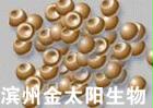 丰年虫卵（渤海湾卵）